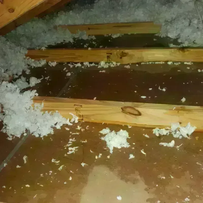 Attic Water Damage in Murphysboro, IL