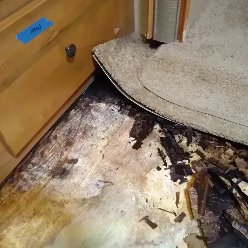 Wood Floor Water Damage in Murphysboro, IL